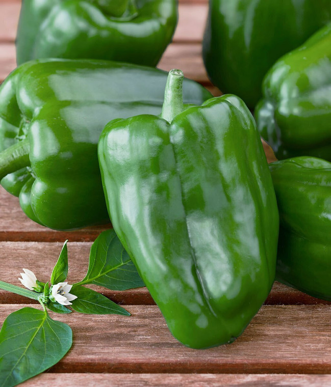 Organic Green Bell Peppers from Keith (1 pound)