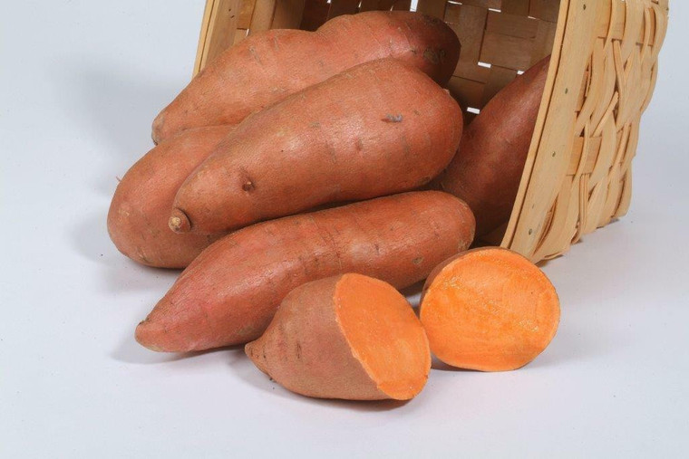 New! Organic Orange Sweet Potatoes from the Burkholders Farm 2lb