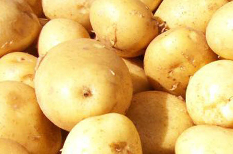 Organic Potatoes Yellow Flesh (2lbs, 5lbs)