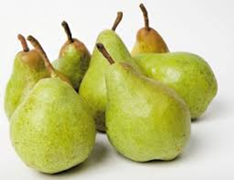 Shenandoah Pears – 2 lbs | Sweet & Juicy PA Orchard Fruit