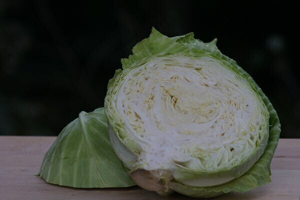 Organic Green Cabbage – 2-3 lb each | Lancaster Farm Fresh Coop