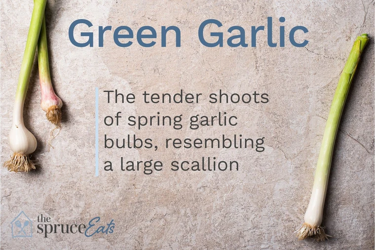 Organic Green Young Garlic – 1 Bunch | Local Amish Farm