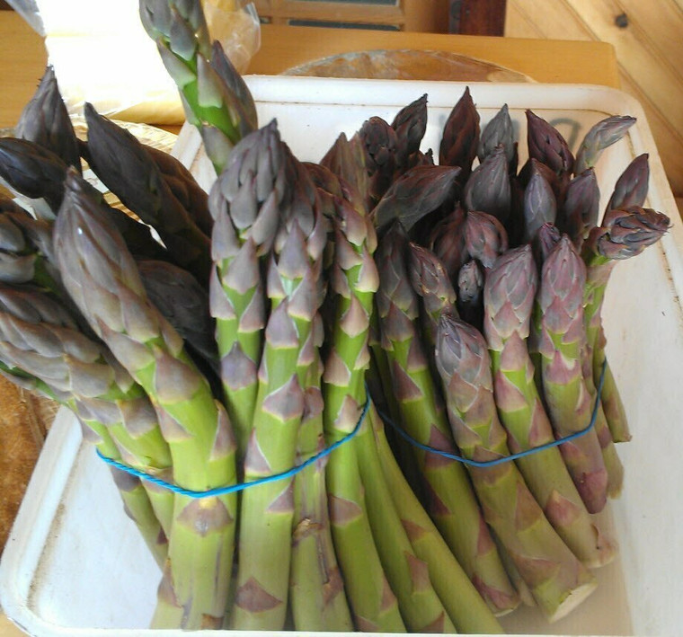 Organic Asparagus – 1 lb Bunch | Lilac Valley Farm
