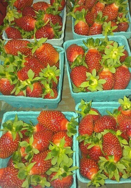 VERY First! Organic Local PA Strawberries – NOT Sprayed! (1 Pint)