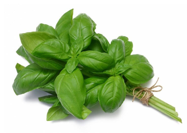 Organic Basil  | Fresh & Fragrant Herbs 1 Bunch