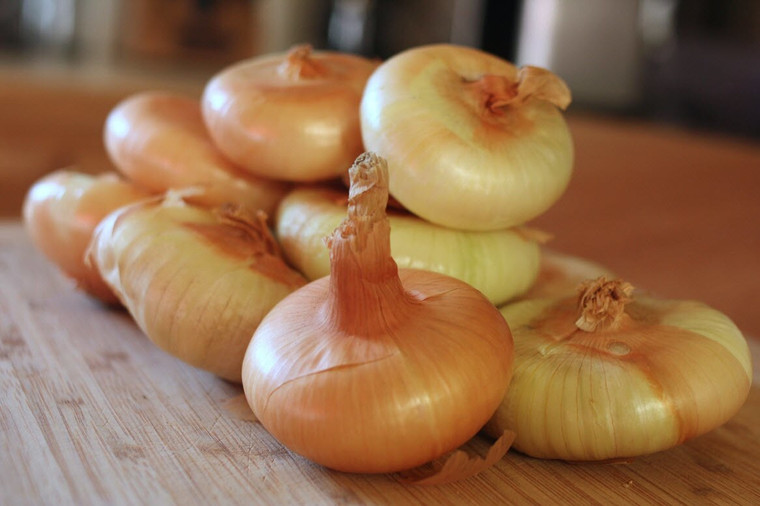 Organic Cipollini Onions – 1 lb | Sweet Italian Heirloom Onions