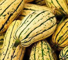 Organic Delicata Squash –  | Sweet, Tender & Naturally Grown 1piece