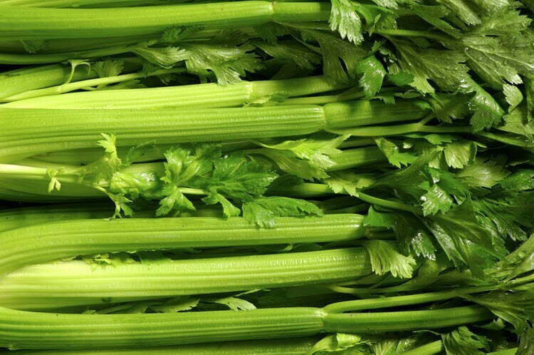 Organic Celery – Fresh Organic Stalks | 2 lbs