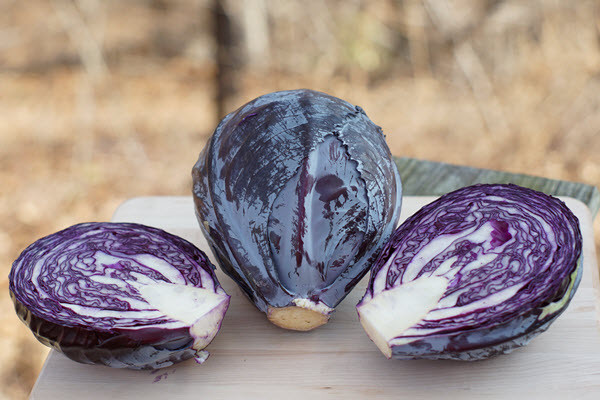 Organic Red Cabbage – 1 Head (2-3 lbs) | Fresh Local PA Farm