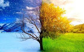Healthy Transition from Winter to Spring – Balance Within