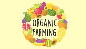 Organic Farming Benefits - Environment For Kids | Mocomi