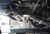 Tsudo 08-16 Lancer EvoX 3" SE Performance Catback Exhaust V2
