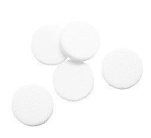 BW 115390-L3 Particulate Pump Filter for BW Max XT II (Each)
