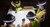 ILLUMAGEAR Halo SL 360-Degree Ring of light for Hard Hats