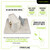 Frontline Reinforcement Back Plate for MEGA Swivel