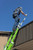 Werner X300010-MP4 Aluminum 8-in Extension Ladder Walkthru for Ladders
