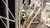 Frontline VLRS Securail Pro Vertical Lifeline System