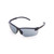 MSA 10033719 Eyewear Pyrenees Spectacles, Gray, Outdoor, Anti-Fog
