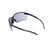 MSA 10033719 Eyewear Pyrenees Spectacles, Gray, Outdoor, Anti-Fog
