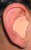 Radians CEP001 Custom Molded Earplugs
