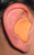 Radians CEP001 Custom Molded Earplugs