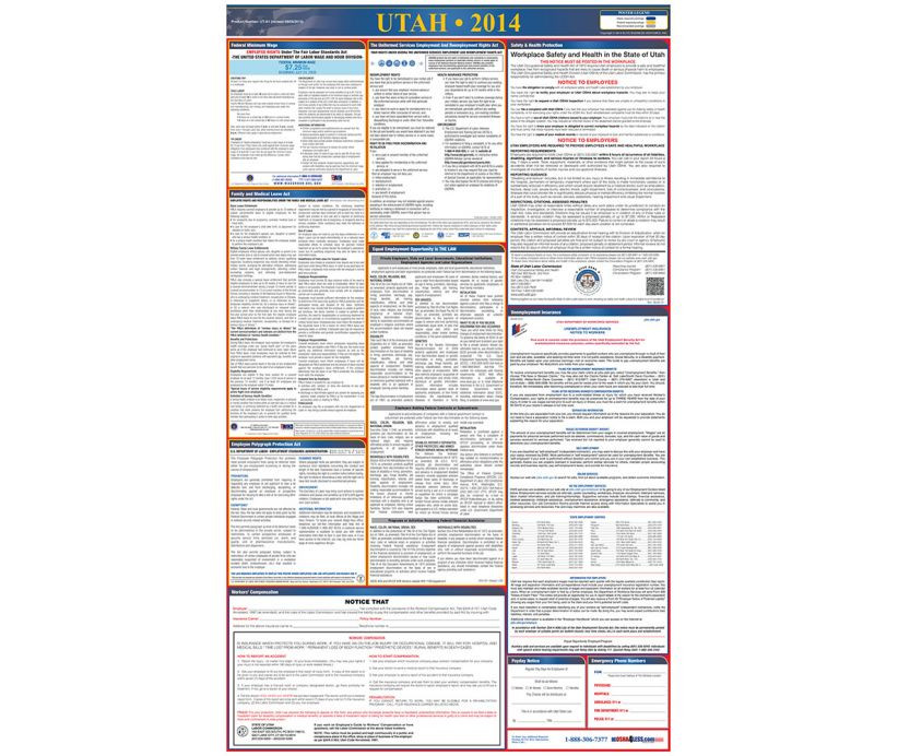 NMC LLP-FL Florida Labor Law and OSHA Compliance Poster