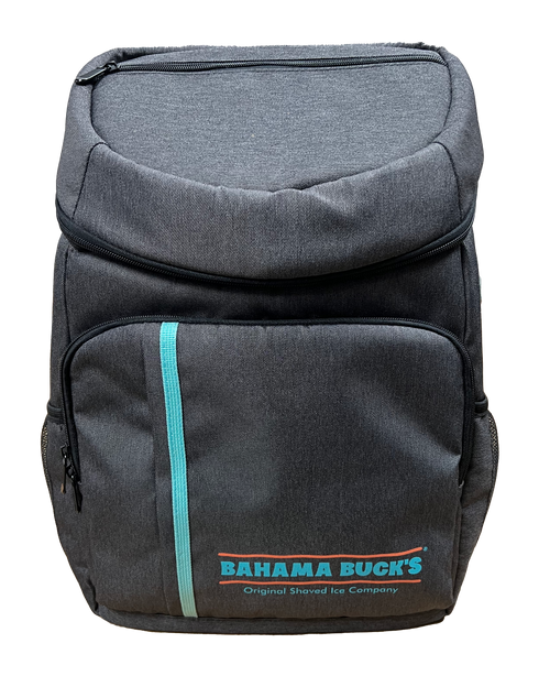 A grey backpack with a teal stripe