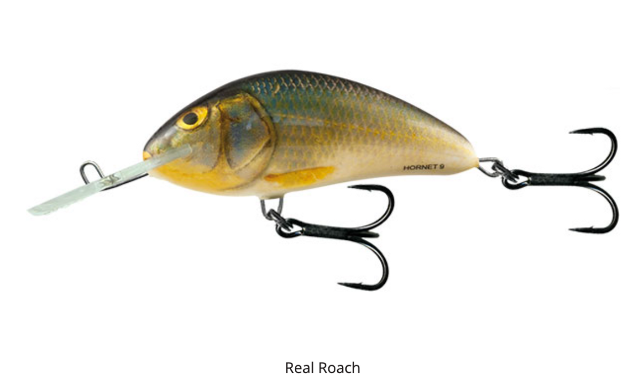 Salmo Hornet 9cm - Real Roach - Hooked Tackle