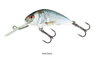Salmo Hornet 4cm - Real Dace  Hooked Tackle