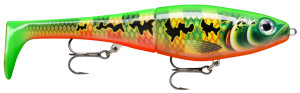 Rapala X-Rap Peto - Peacock - Hooked Tackle