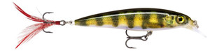 Rapala X-Rap 10cm - Live Perch 
