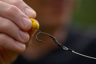 Best Carp Rigs UK 2026: A Complete Guide