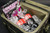 Korda Compac Kamo Cooler - 14l 