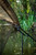 Fox International Fox Carpmaster Net Safe 