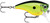  Rapala BX Mid Brat - Chartreuse Shad - 6cm 