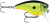Rapala BX Mid Brat - Chartreuse Shad - 6cm BXMB05CSD Hooked Tackle
