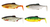 Westin Ricky The Roach Shadtail - 7cm  Hooked Tackle