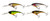  Westin Babybite DR Crankbait - 6.5cm 