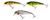 Westin Rawbite Crankbait - 15cm  Hooked Tackle