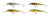 Westin Jerkbite MR Jerkbait - 15cm 