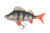  Fox Rage Ultra Realistic Perch 