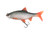 Fox Rage Ultra Realistic Roach  Hooked Tackle