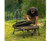  Avid Carp Benchmark Ultra Bedchair 