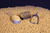 Dynamite Big Fish Ready Feeder Pellets - Sweet Banoffi DY1890 Hooked Tackle