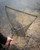 Fox International Fox Eos-X Landing Replacement 42" Net Mesh 