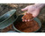  Korum EVA Solid Groundbait Bowl 