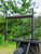  Carp Porter Stealth Green Barrow 