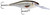  Rapala Shad Rap 7cm - Live Roach 