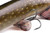  Fox Rage Ultra-Realistic Pike Replicant 10cm 