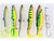  Westin Pike Cast & Jig Lure Box 
